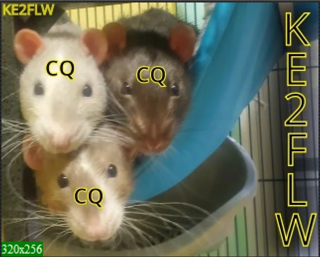SSTV-3